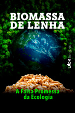 Biomassa de Lenha: A falsa promessa da ecologia