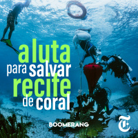 T3E17: A luta para salvar um recife de coral