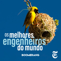T3E7: Os melhores engenheiros do mundo
