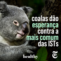 T3E6: Coalas dão esperança contra a mais comum das ISTs