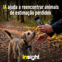 T21E12: IA ajuda a reencontrar animais de estimação perdidos