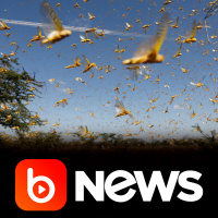 Ubook News - 02/03/2020