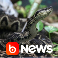 Ubook News - 31/08/2021 - 2ª Edição