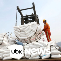 BRASIL - Decreto obriga plataformas a aumentar controles de idade e reduzir monetização para crianças