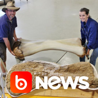 Ubook News - 08/06/2021 - 2ª Edição