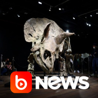 Ubook News - 21/10/2021 - 2ª Edição