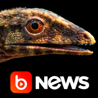 Ubook News - 09/12/2020 - 2ª Edição