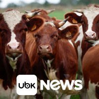 TECNOLOGIA - Anatel vê risco de concentração de data centers em poucos locais do Brasil