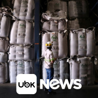 CULTURA - Filme Alpha, de Julia Ducournau, é alimentado pela disseminação do medo