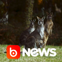 Ubook News - 16/12/2020 - 2ª Edição