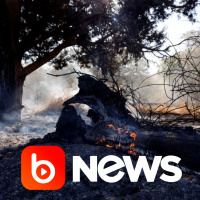 Ubook News - 16/06/2021 - 2ª Edição