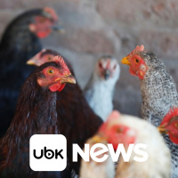 CULTURA - Estrela de reality show Kim Kardashian revela aneurisma cerebral