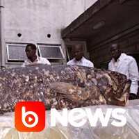 Ubook News - 18/06/2021 - 2ª Edição