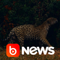 Ubook News - 13/10/2022 - 2ª Edição