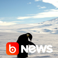 Ubook News - 26/07/2021 - 2ª Edição