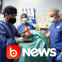 Ubook News - 11/01/2022 - 2ª Edição