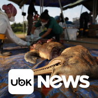 Ouça na Segunda Edição de 02/10/2023