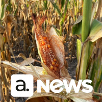 Audimo News - 16/02/2023 - 2ª Edição