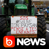 Ubook News – 27/11/2019