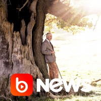 Ubook News - 14/11/2022 - 1ª Edição