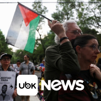 CULTURA - Cadela resgatada Yuri rouba a cena em Cannes com prêmio Palm Dog