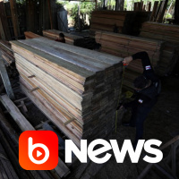 Ubook News - 20/11/2020 - 1ª Edição