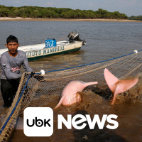 MUNDO - Enviada dos EUA à ONU diz que acordo de cessar-fogo em Gaza agora está à vista