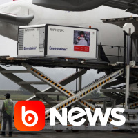 Ubook News - 19/11/2020 - 1ª Edição