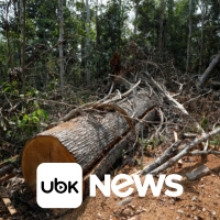 BRASIL - Brasil recruta gerentes de bancos para combater desmatamento