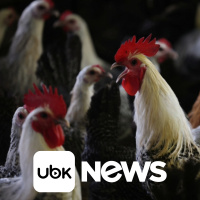 AGRONEGÓCIO – Parte do milho do Paraná e Mato Grosso do Sul tem geadas leves, sem impactos