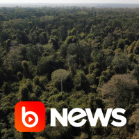 Ubook News - 01/02/2022 - 1ª Edição