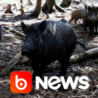 Ubook News - 19/04/2022 - 2ª Edição