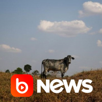 Ubook News - 18/01/2022 - 2ª Edição