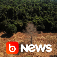 Ubook News - 06/12/2022 - 1ª Edição