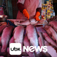 ECONOMIA - Governo simplifica compra pública de pescados, castanhas, manga, mel e outros alimentos após tarifaço