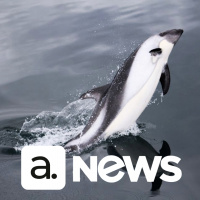 Audimo News - 21/04/2023 - 2ª Edição