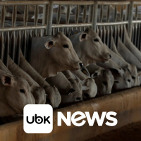 ECONOMIA - Brasil praticamente esgota cota de carne bovina à China e reduz abates, diz StoneX