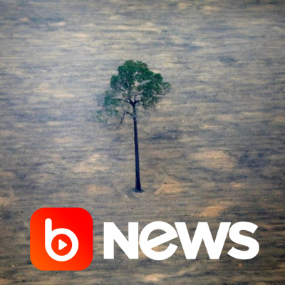 Diário de Notícias