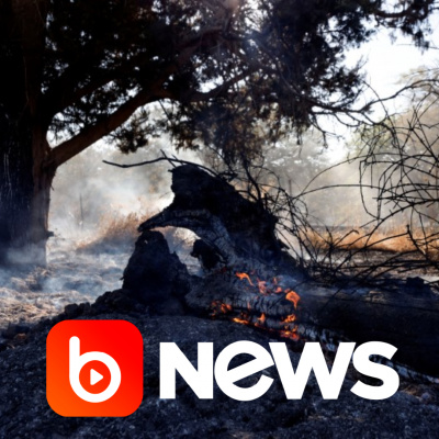 Diário de Notícias