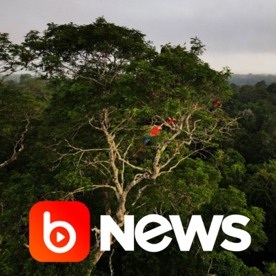 Diário de Notícias