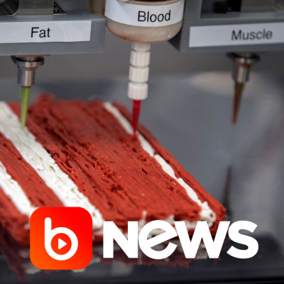 Diário de Notícias