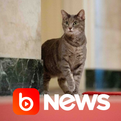 Diário de Notícias