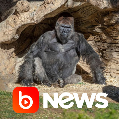 Diário de Notícias