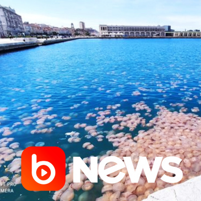 Diário de Notícias