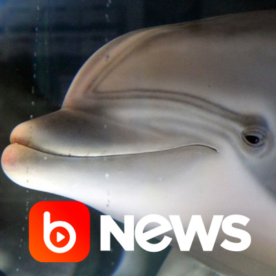 Diário de Notícias