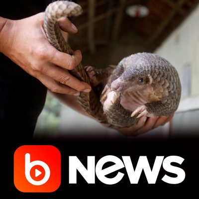 Diário de Notícias