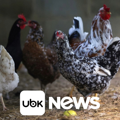 Diário de Notícias