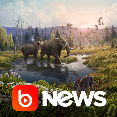 Diário de Notícias