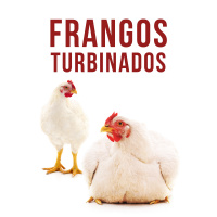 E1: Frangos turbinados